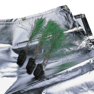 Forestry Suppliers Seedling Protection Tarp, 15’ x 18’