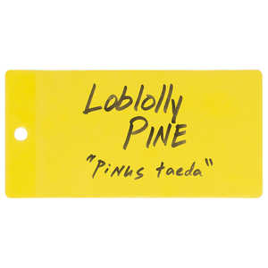 2-1/2” x 5” Weatherproof Sealable Tags, with 1 hole, Pack of 100