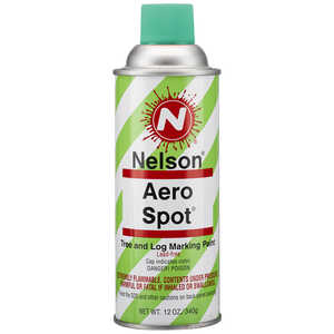 Nelson AeroSpot Spray Paint, Light Green