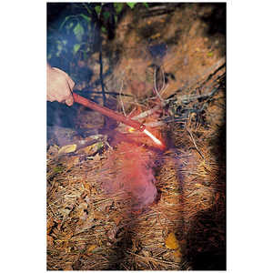Forest Fire Torch, Case of 72