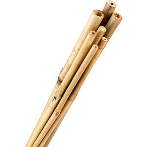 Bamboo Stakes, 1” x 6’, Bundle of 50