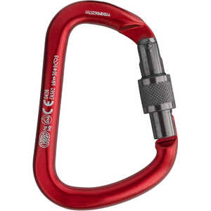 Big D Carabiner