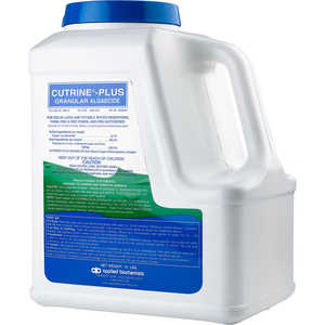 Cutrine-Plus Granular Algaecide/Herbicide, 12 lb. Jug