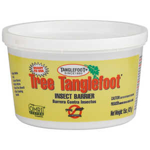 Tree Tanglefoot Pest Barrier, 15 oz. Tub