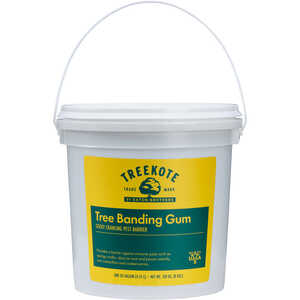 Treekote Sticky Tree Banding Gum,  8 lb. Tub