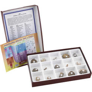 Fossil Collection Kit