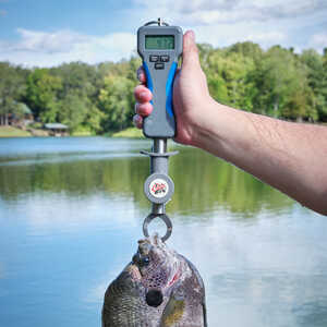 Cuda Digital Grip and Weigh Electronic Scale, 50 lb. Capacity