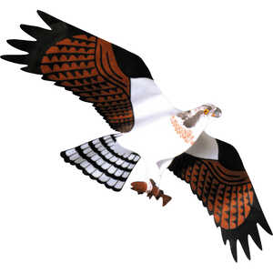 Jackite Osprey Predator Kite