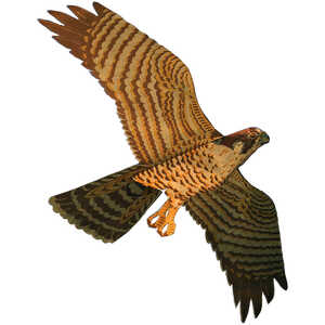 Jackite Falcon Predator Kite