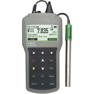 Hanna Instruments HI 98191 Professional pH or ORP or ISE Waterproof Meter
