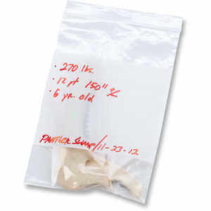 Zippit Bags, 2 Mil, 6” x 9”, w/White Write-On Strip, Case of 1000