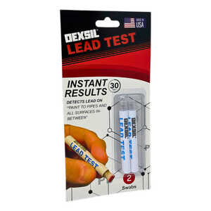Dexsil Lead Test, 2-Pack