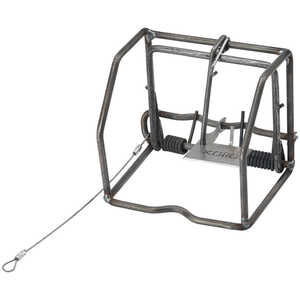 Koro Large Rodent Double Spring Trap