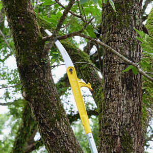 Jameson Folding Pole Saw with Barracuda 13˝ Tri-Cut Blade