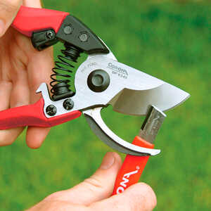 Corona Sharpening Tool