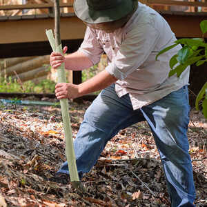 Vinyl Spiral Tree Guards, 36