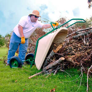 Loadumper Cart, 8 Cubic Foot Capacity