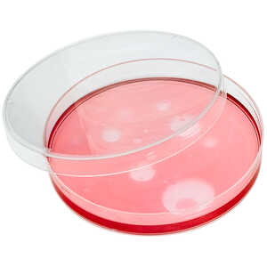 Petri Dish, 100 x 15 mm, Pack of 25