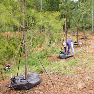 25-Gallon Ooze Tube Tree Watering System