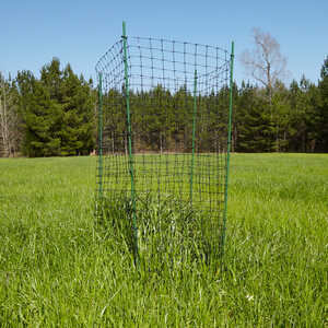 Jim-Gem Food Plot Exclusion Cage, Pack of 5