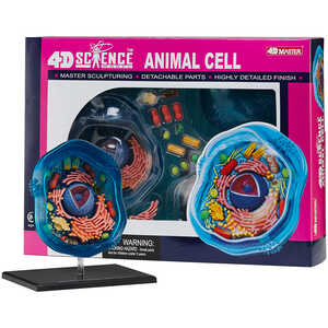 4D Science Animal Cell Model