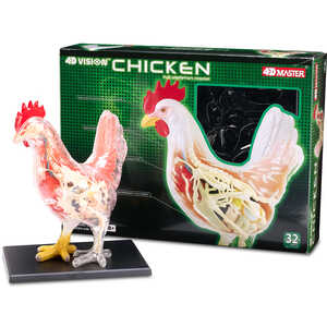 4D Vision Chicken Anatomy Model