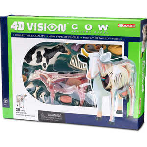 4D Vision Cow Anatomy Model