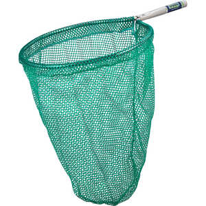 Douglas Frog Net