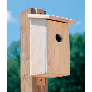 Cypress Bluebird Nesting Box
