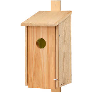 Forestry Suppliers Deluxe Bluebird House