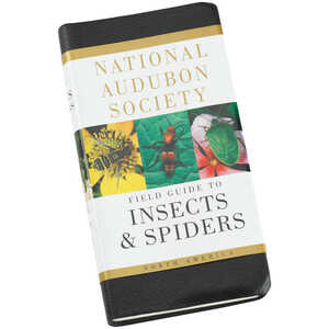 National Audubon Society Field Guide, Insects and Spiders