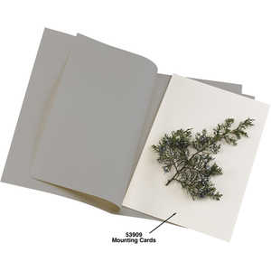 Acid-Free Herbarium Mounting Paper