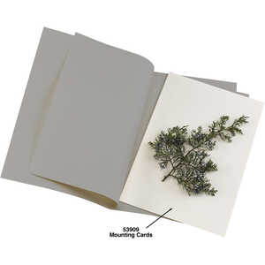 Acid-Free Herbarium Mounting Paper