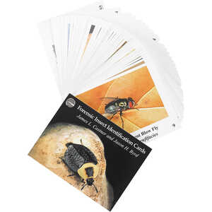 Forensic Insect Identification Cards