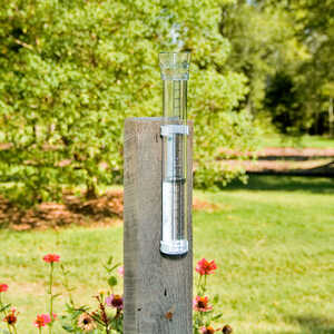 Taylor See-Thru Rain Gauge