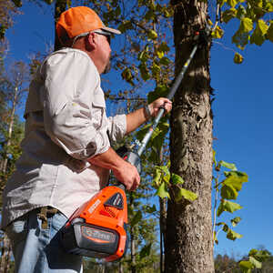 Echo DPPF-2100 56V Power Pruner with 2.5 Ah Battery and Standard Charger