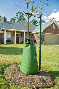 Treegator Watering Bag, 20 Gal. Capacity