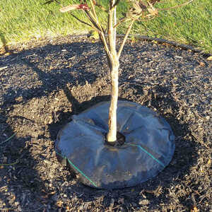 TreeDiaper, 24˝ Diameter
