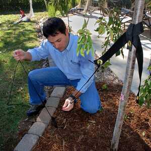 DeWitt Tree Stake Kit with 15˝ Plastic Stakes