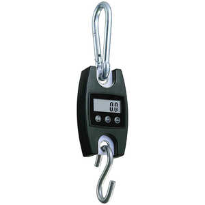 Pesola Digital Hanging Scale, 100 kg/220 lb. Capacity