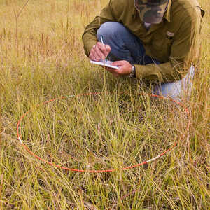 1.92 Square Foot Vegetation Sampling Hoop, CF 50