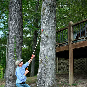 GrowTech Boone Telescoping Long-Reach Pruners, 4´ to 7´