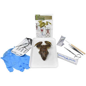 Grass Frog Anatomy Kit with Dissection Tools