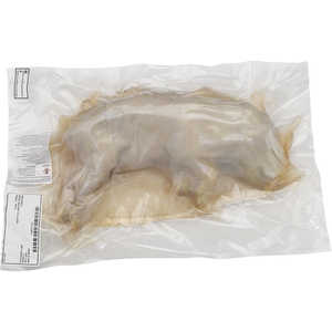 Fetal Pig Dissection Specimen, 11-13˝, Plain