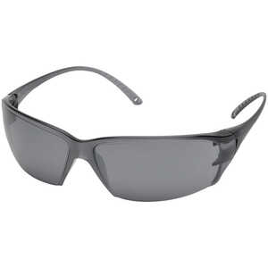 Delta Plus Helium 18 Safety Glasses, Gray Anti-Fog Lens