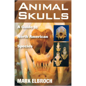 Animal Skulls A Guide to North American Species