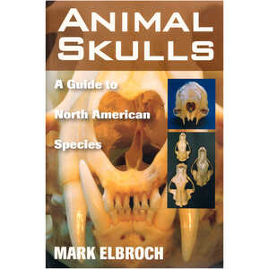 Animal Skulls A Guide to North American Species