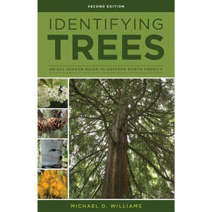 Identifying Trees