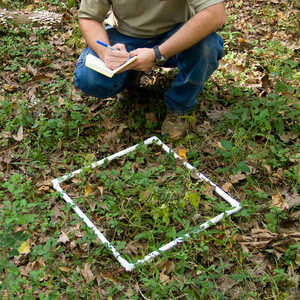 Collapsible Sampling Square, 0.25 Meter