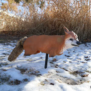 Bird-X 3-D Fox Decoy